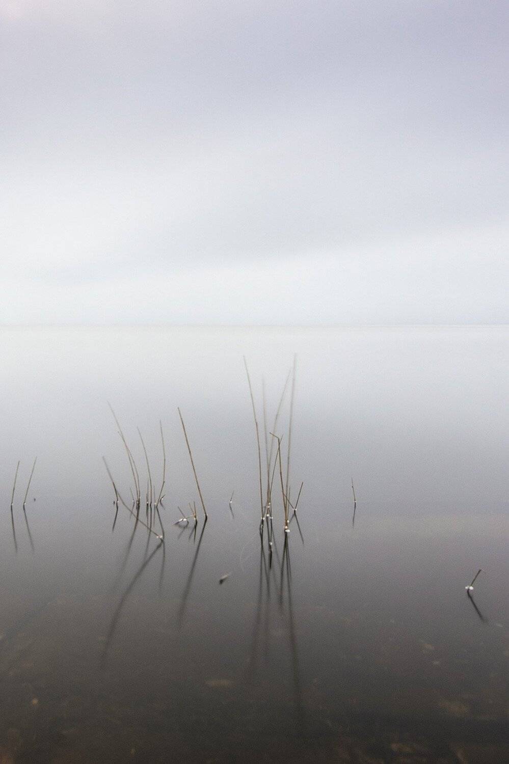 , Федотов Антон