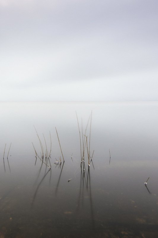 В тишине фото превью