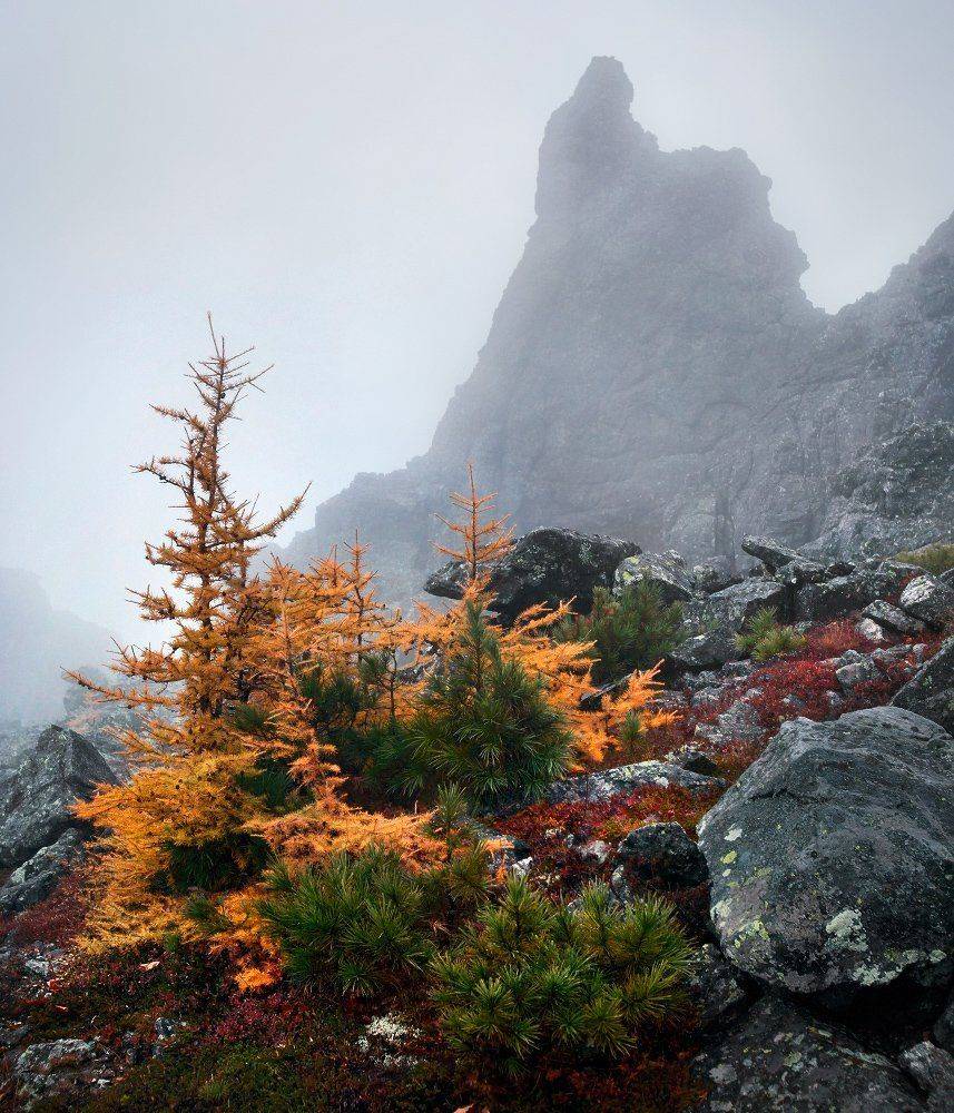 урал, осень, серебрянский камень, Сергей Макурин