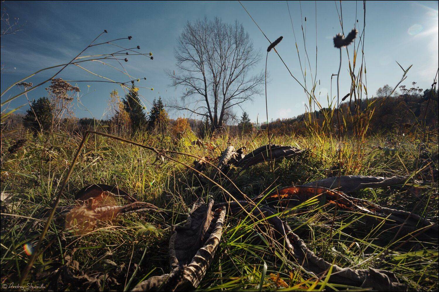 , Андрей Шумилин