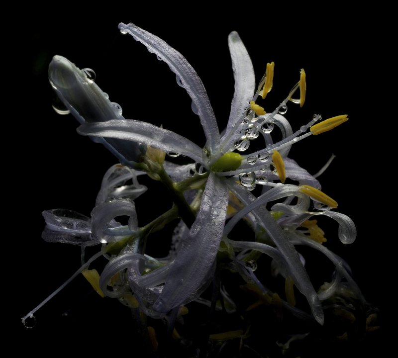 Состояние фото превью