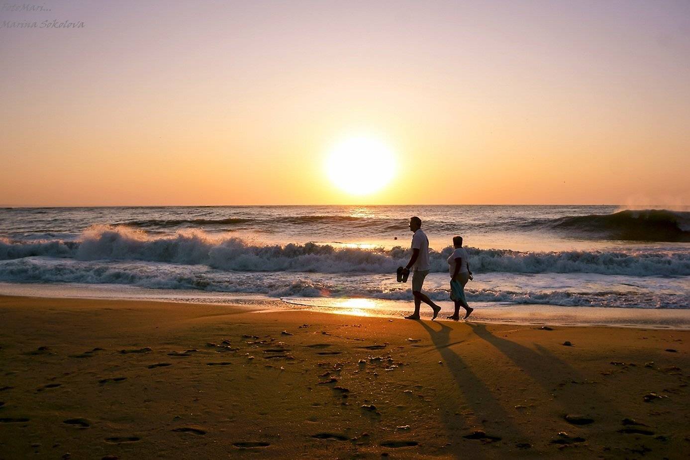 , Марина Соколова