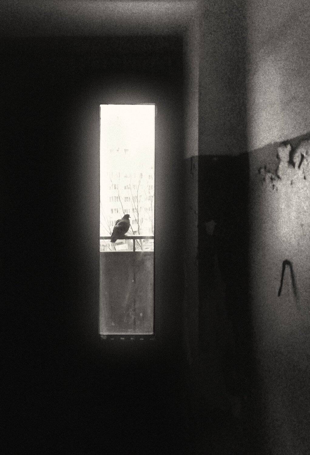 , Сергей Москалянов