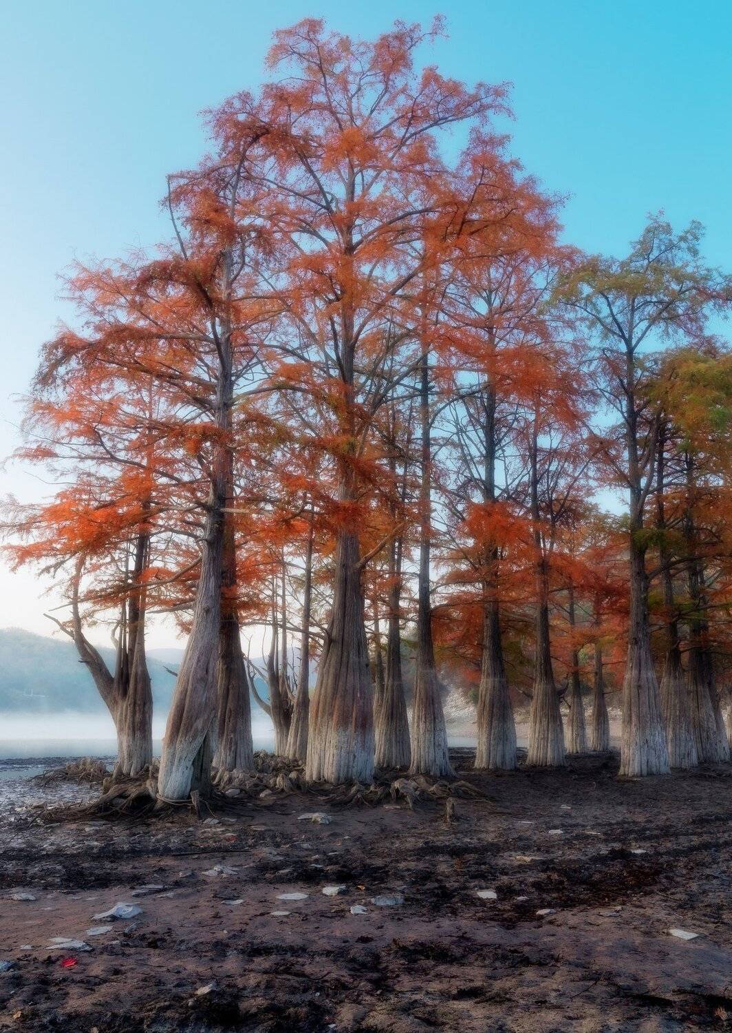 , Alexander Plekhanov