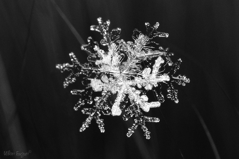 снег, снежинки, зима, макро, снежинка, лёд Снег фото превью