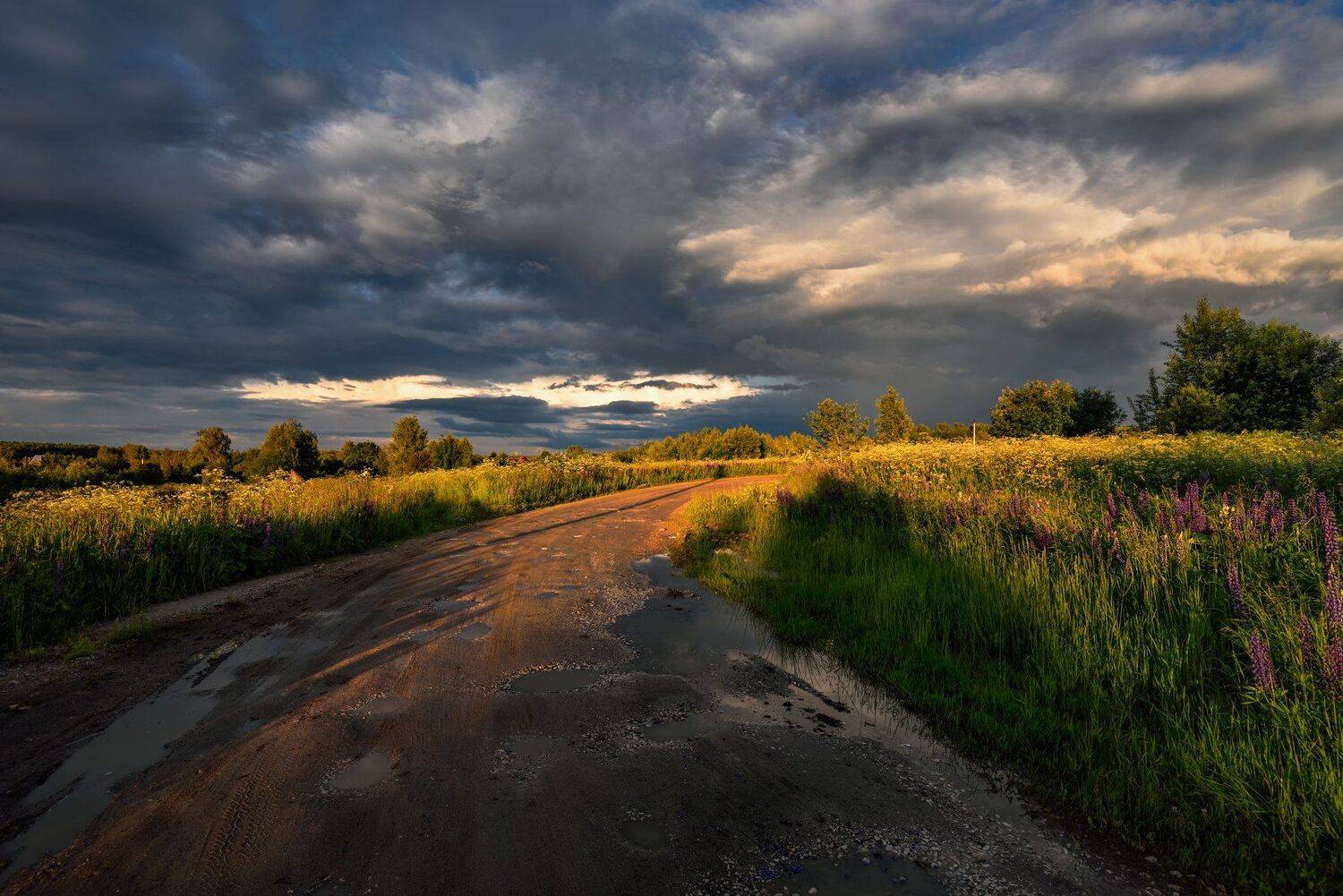 лето,дождь,дорога,небо,тучи,свет, Виталий Полуэктов