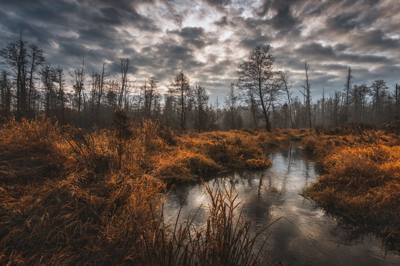 Jeziorka river, Poland фото превью
