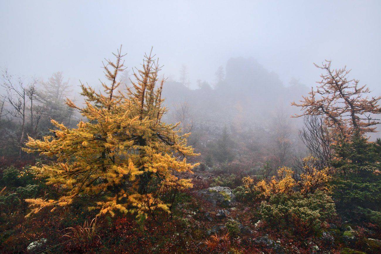 урал, осень, серебрянский камень, Сергей Макурин