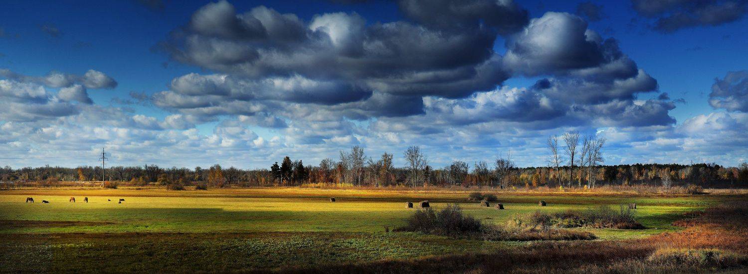 , Бусыгин Борис