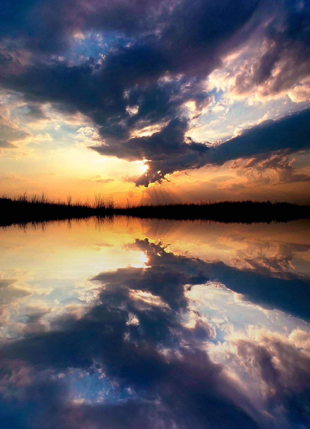 , Полина Хрол