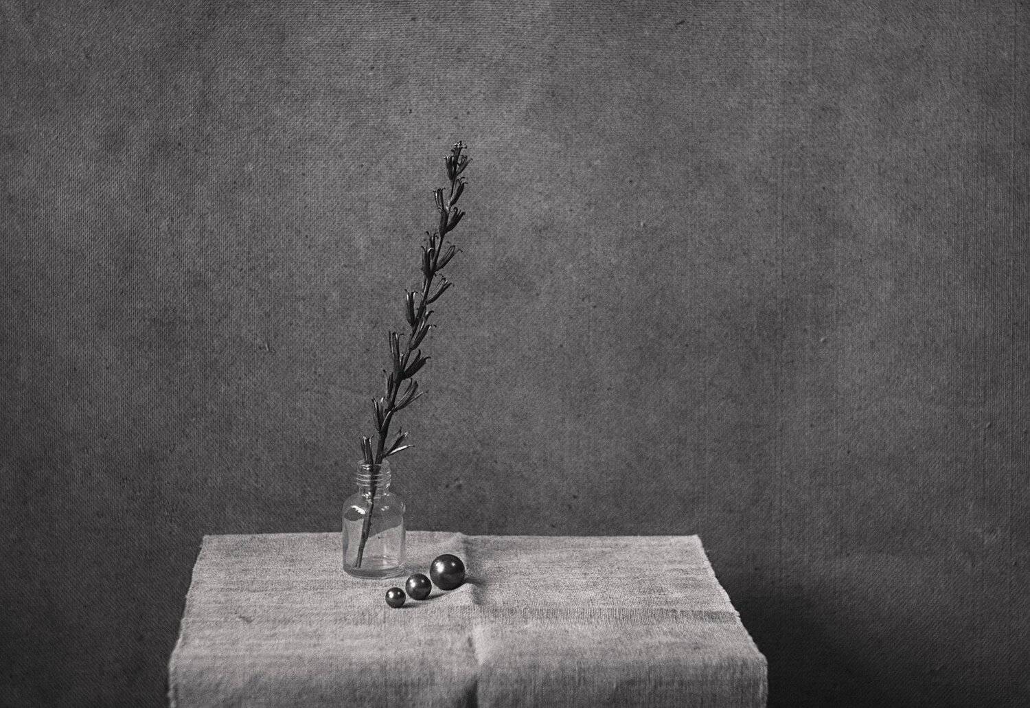 натюрморт, минимализм, Ольга Алексейчик