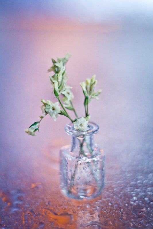 натюрморт, боке, прозрачный, закат, солнце, бутылка, стакан, стекло, красивый, прозрачный, блики, still life Закатные цвета фото превью