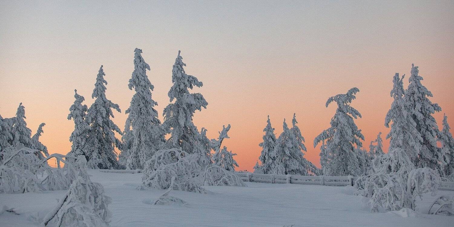 зима, снег, иней, мороз, лес, горы, утро, Александр Игнатьев