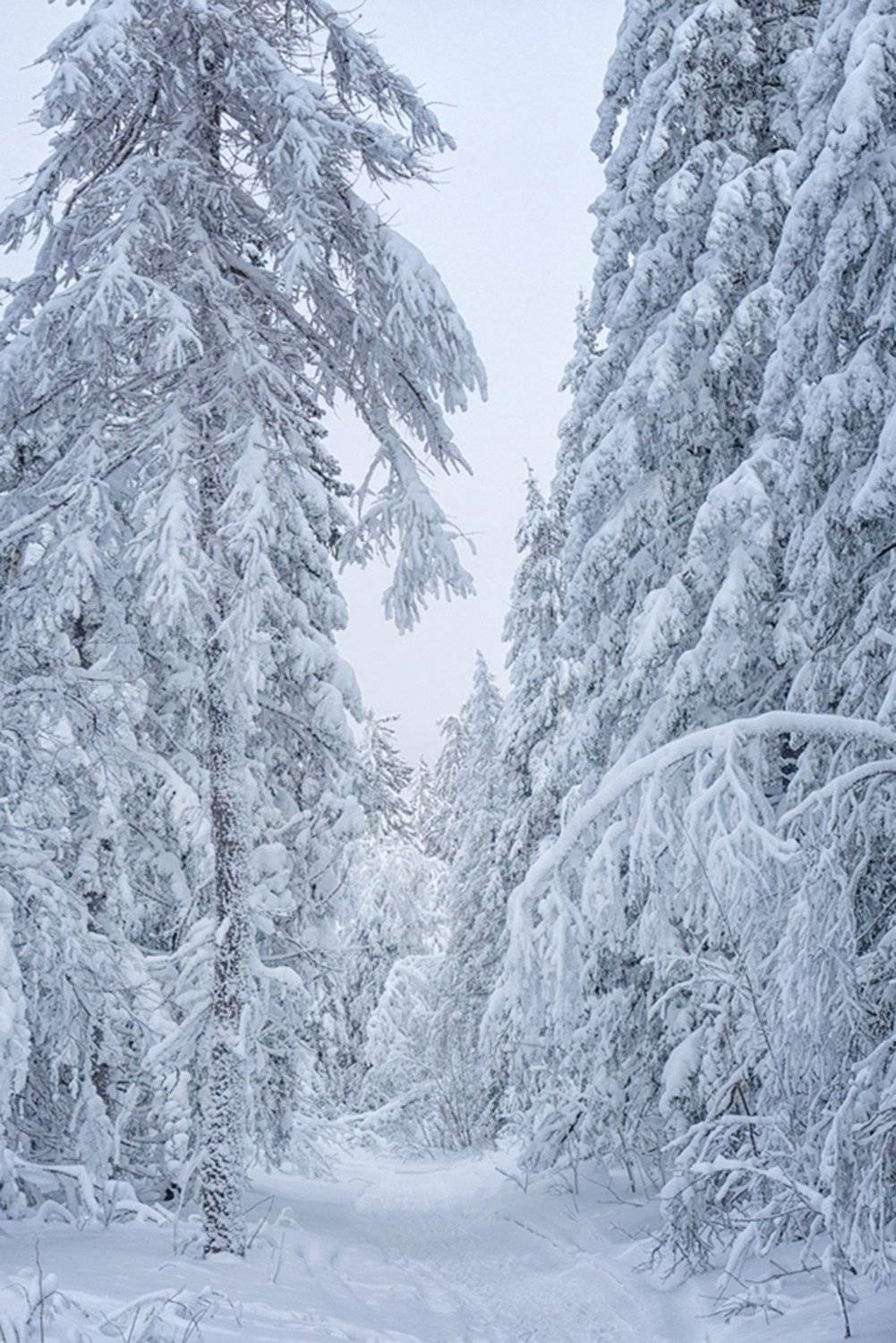 , Сергей Сотников