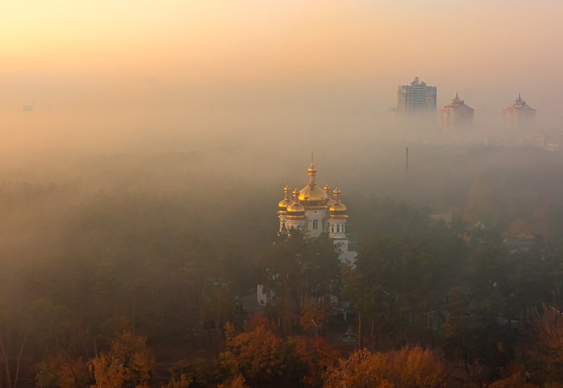 утро туманное фото превью