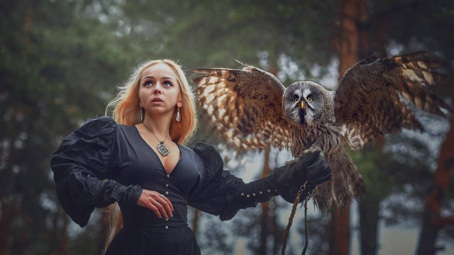 портрет, жанр, сова, rekhov, Сергей Рехов