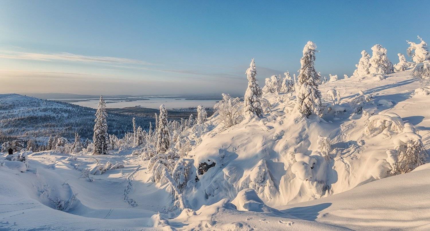 заполярье, гора, снег, ели, волосная, тропинка, Владимир Липецких