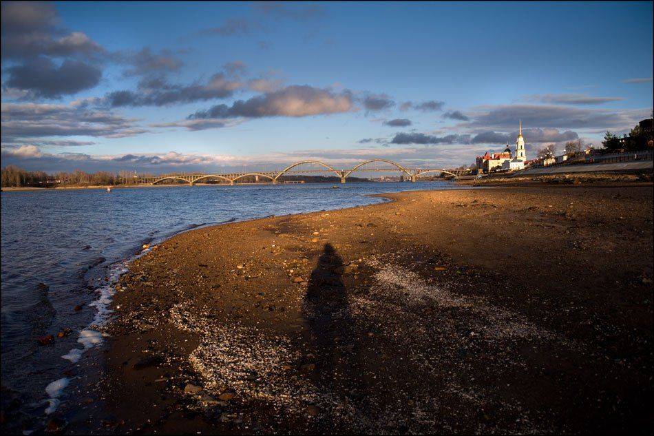 , Дарья Васильева