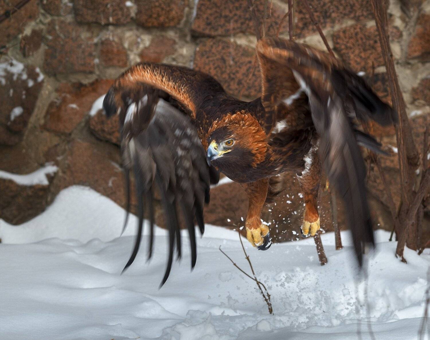 , Олег Богданов