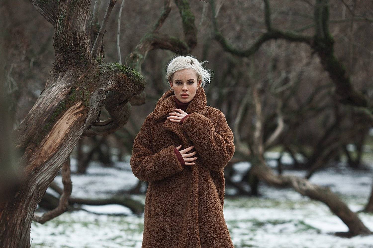 , Дмитрий Плеханов