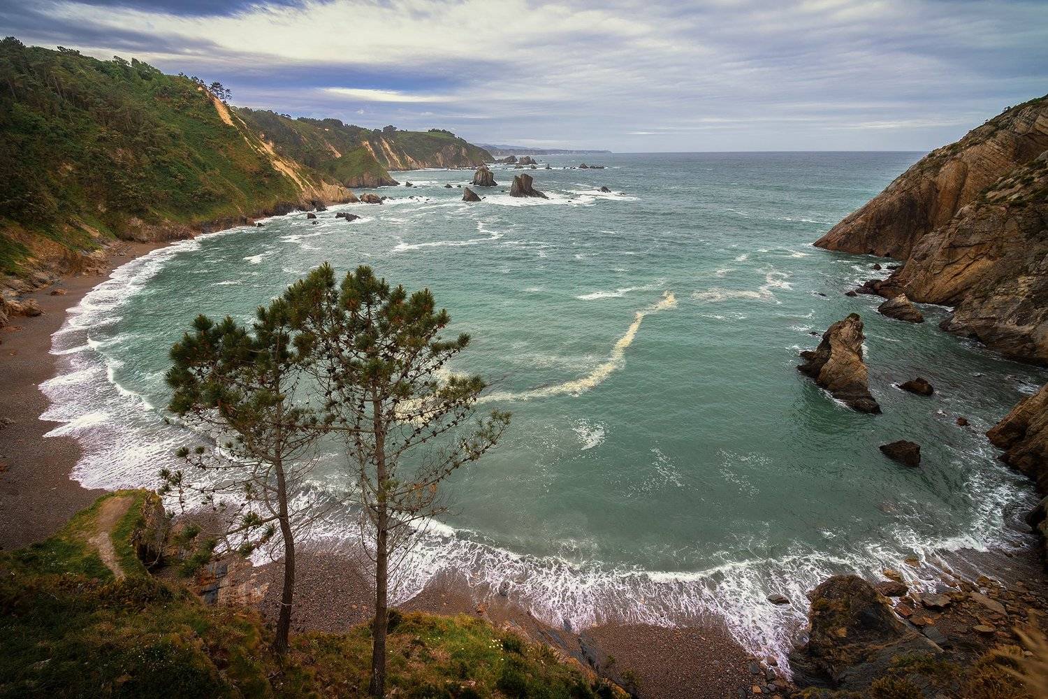 , Елена Маковоз