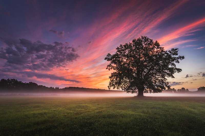 Fairytale land фото превью