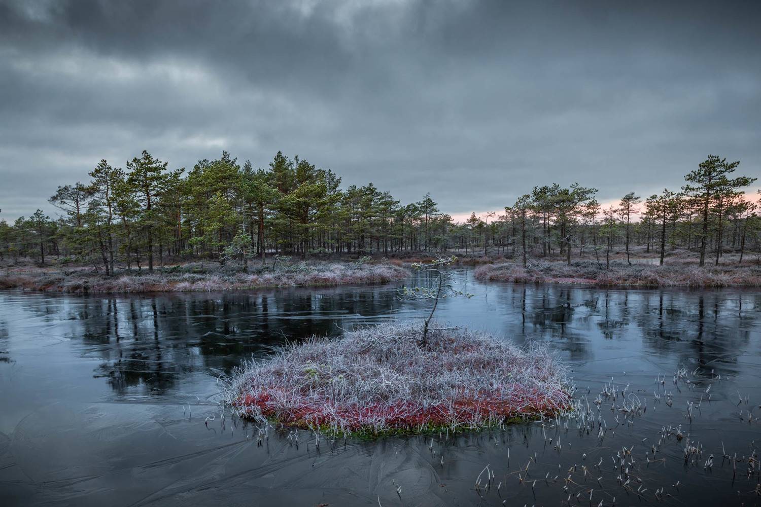 , Елена Маковоз