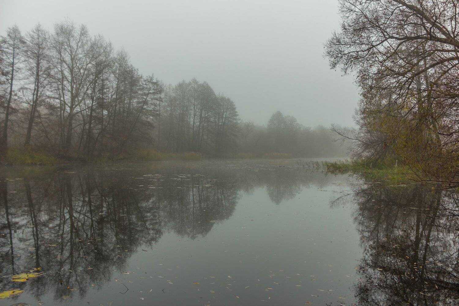 осень, туман, вода, Руслан Востриков