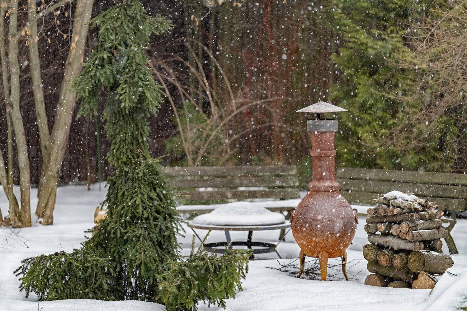 , Курлянцев Алексей