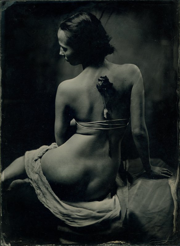 wetplate ambrotype девушка с розой фото превью