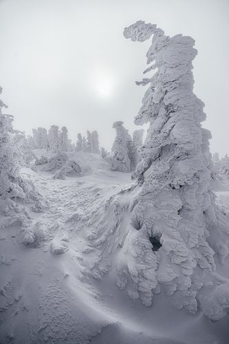 Лунный день