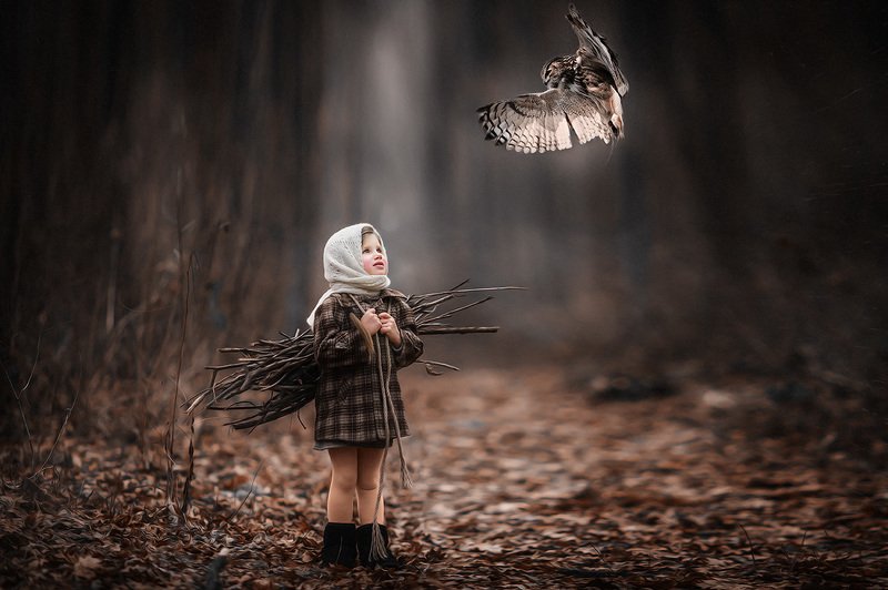 12 месяцев фото превью