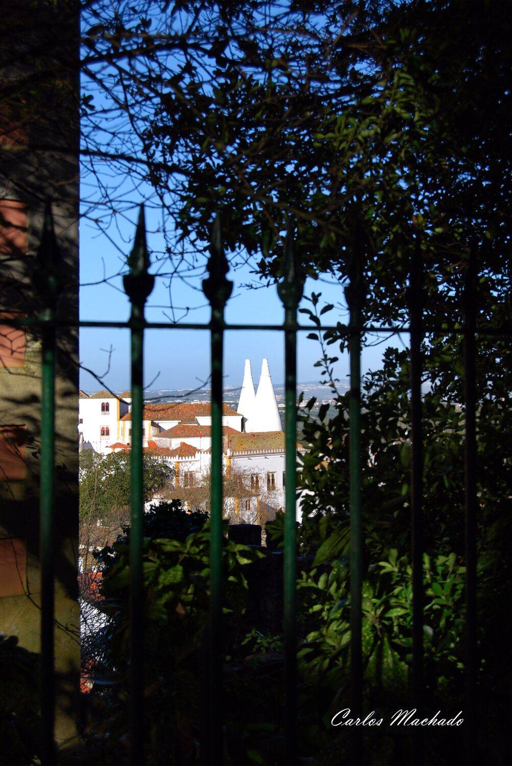 Landscapes, Street/Reportage, City/Architecture, Carlos Machado
