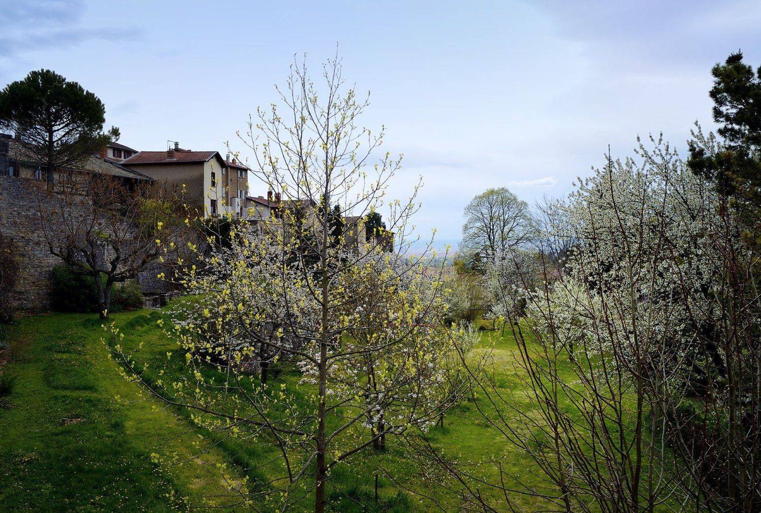 france, lyon, Olga N.