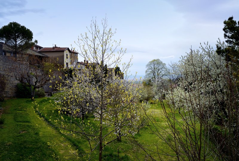 france, lyon transparency фото превью