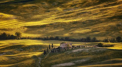 тосканские холмы