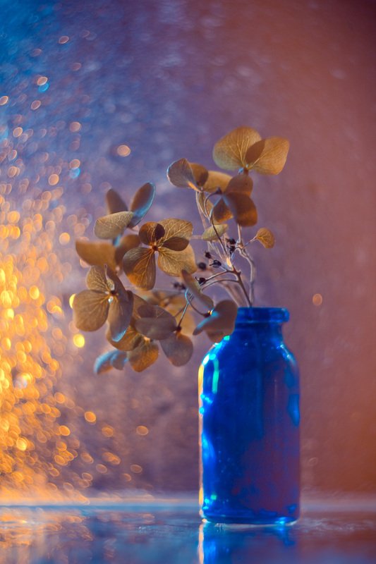 натюрморт, боке, прозрачный, закат, солнце, бутылка, стакан, стекло, красивый, гортензия, цветок, блики, still life Вечерняя гортензия фото превью