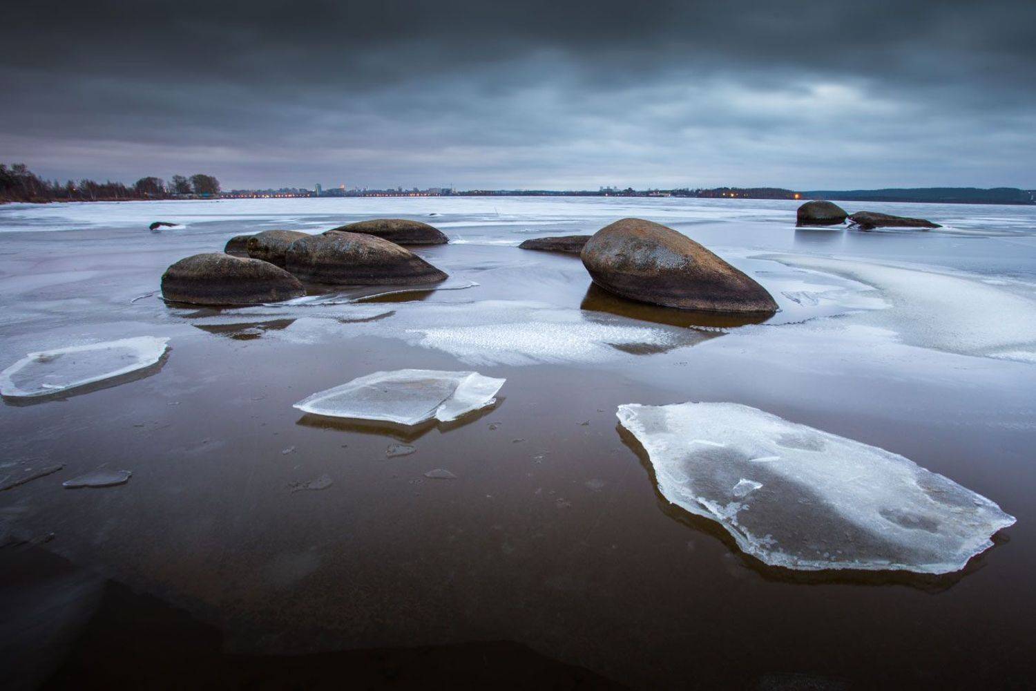 , Игорь Криницын