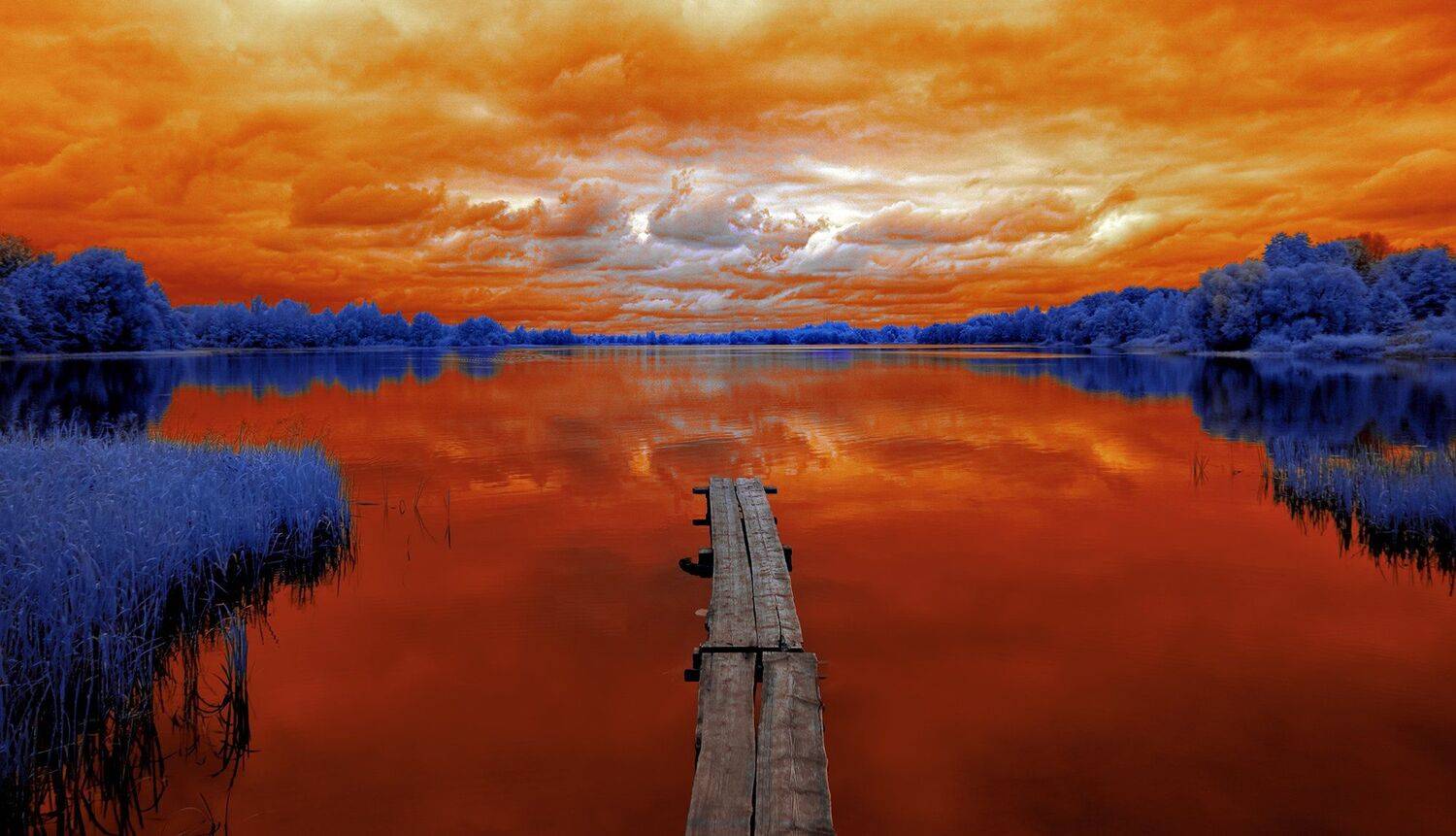 infrared,ик-фото,инфракрасное фото, инфракрасная фотография, пейзаж, осень, Sixten ( Сергей )