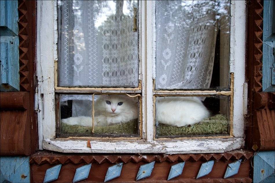 *, Дарья Васильева