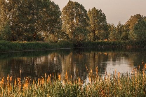 Немного... о лете...