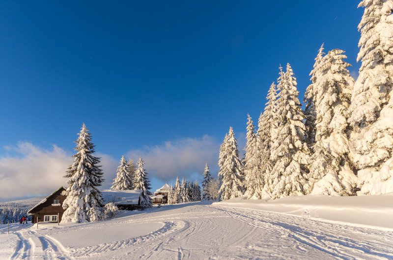Beautiful afternoon фото превью