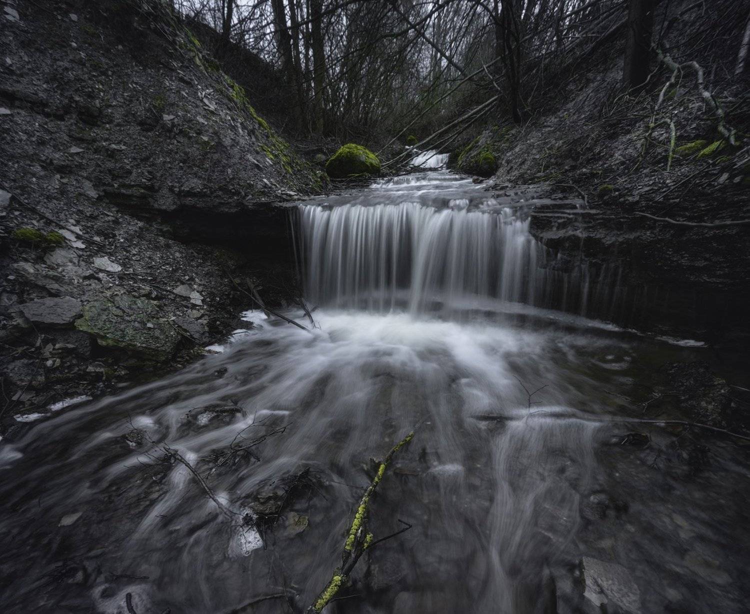 ручей, лес, природа, пейзаж, Майя Афзаал