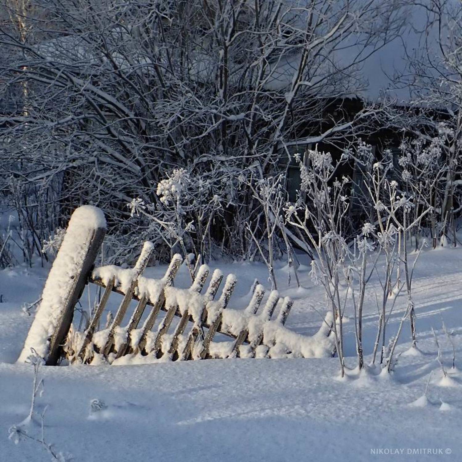 пейзаж, николай дмитрук