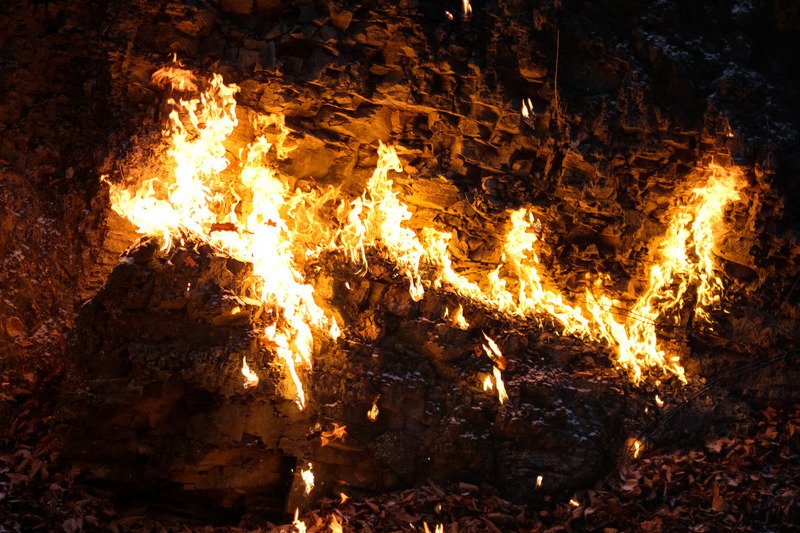 огонь, костер, пламя, портрет, лес Пламенная серия фото превью