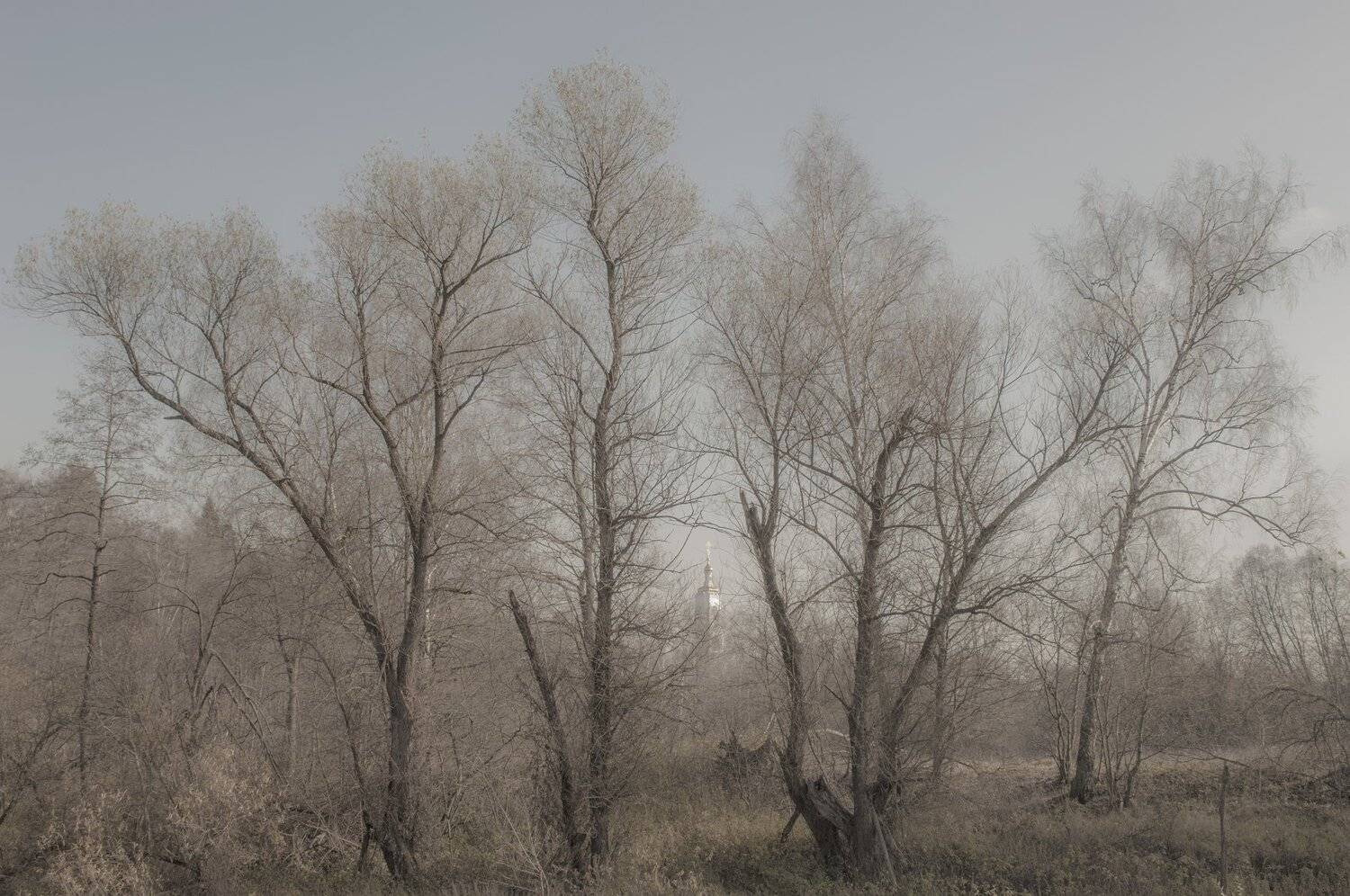 Пейзаж, Михаил Пшеннов