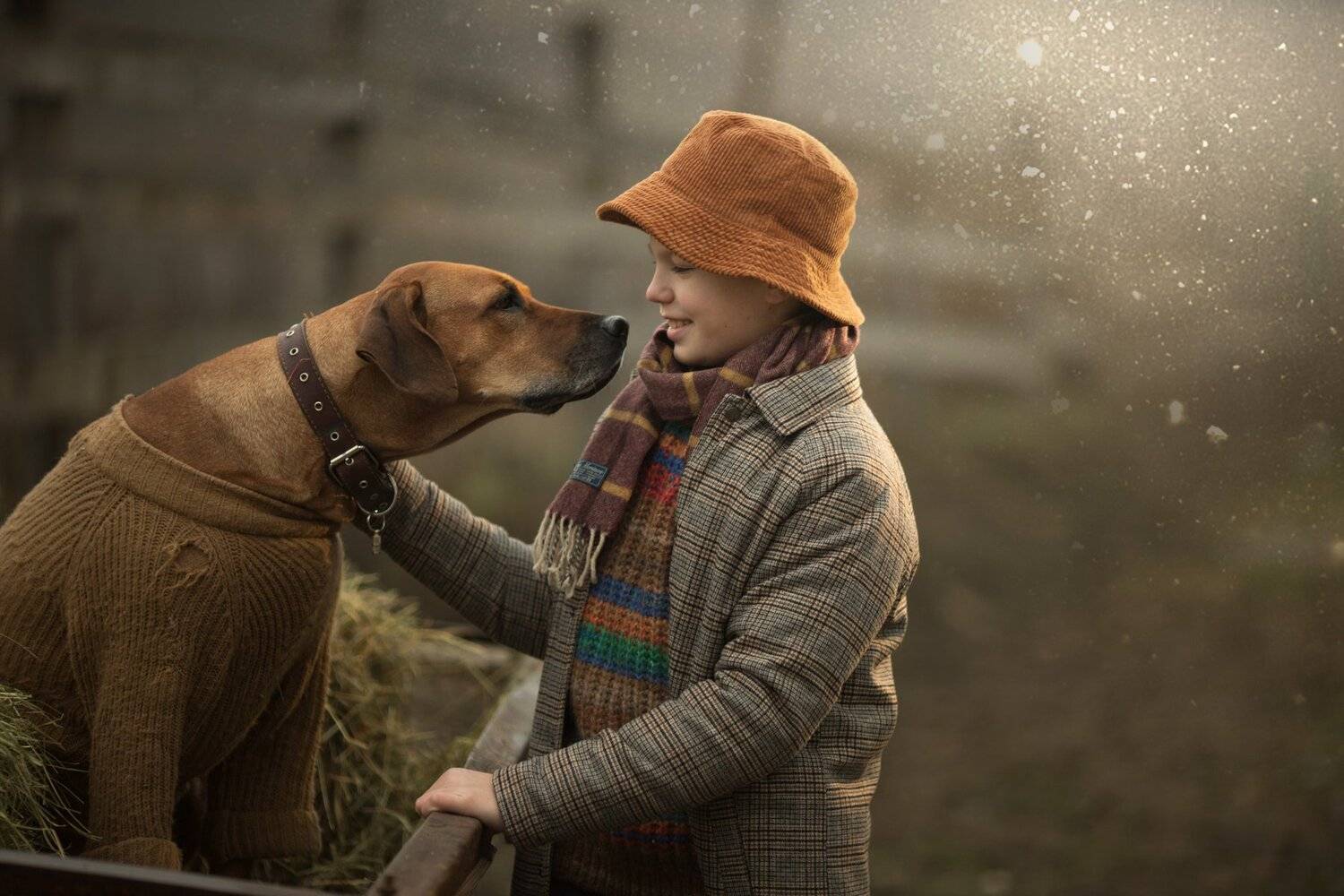 мальчик, пес, собака, закаттоп фотограф, детский фотограф, семейный фотограф, детская фотография, детский портрет, портрет, портретный фотограф, известный фотограф, фотограф валерия мороз, сказочная ретушь, волшебный свет, волшебная обработка, обучение фо, Валерия Мороз
