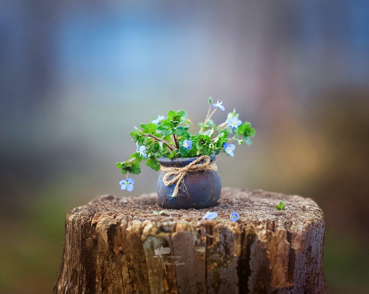 , Инна Сухова