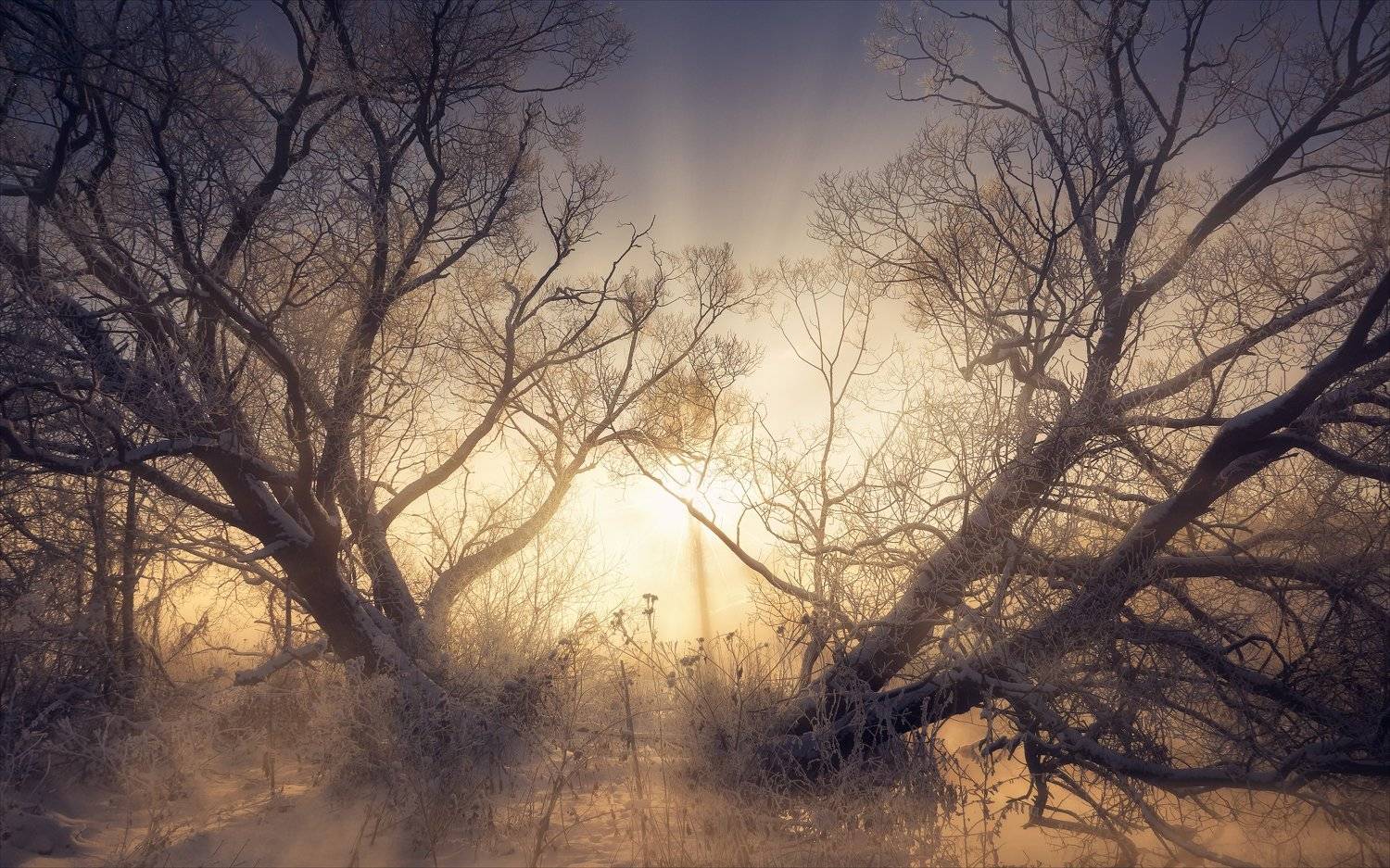 , Алексей Богорянов