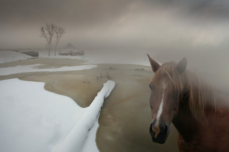 Куда уходит детство.... фото превью